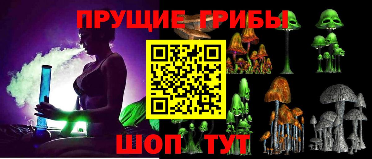 Галлюциногенные грибы Psilocybine cubensis Белая Калитва